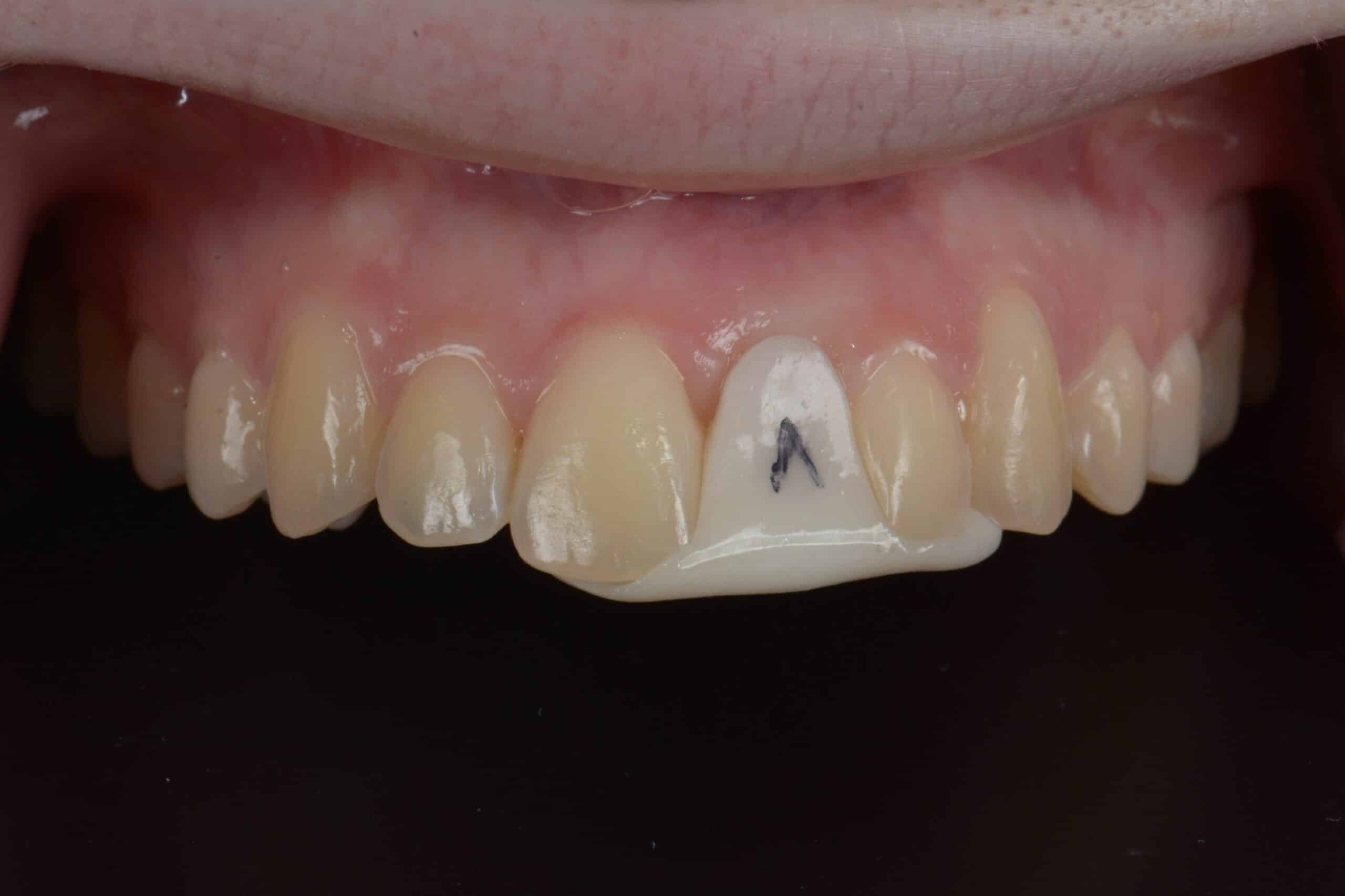 DSC_2513 Mass Image Compressor Compressed this image. https://sourceforge.net/projects/icompress/ with Quality:80