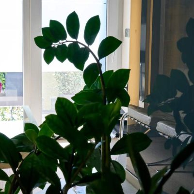 Mass Image Compressor Compressed this image. https://sourceforge.net/projects/icompress/ with Quality:65